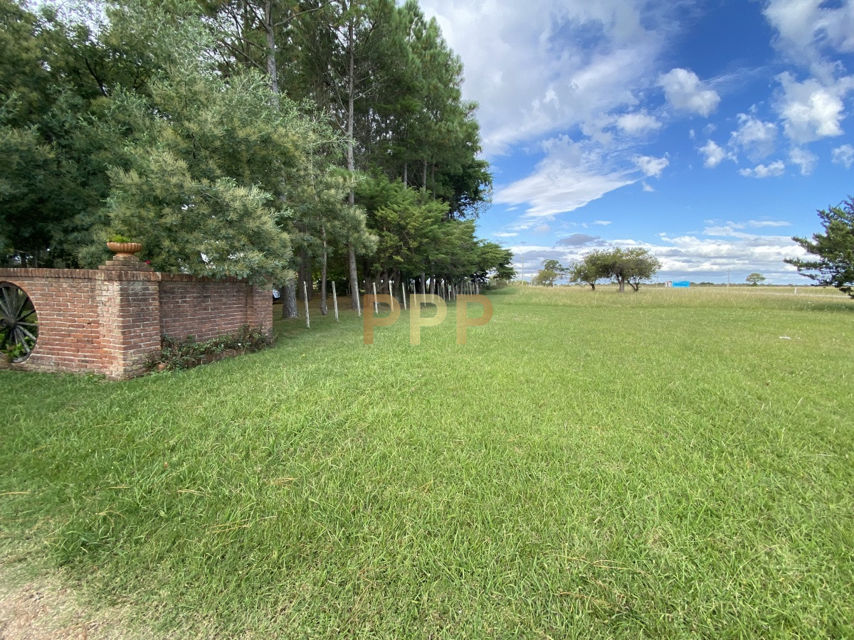 Chacra ID.3605 - En venta...chacra en zona de Ruta 9