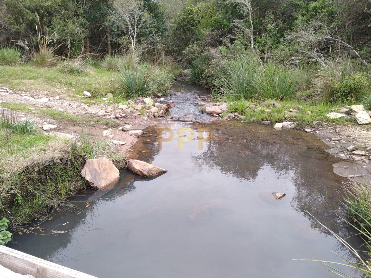 Chacra ID.2248 - Vendo excelente chacra de 39 hectÃ¡reas para granja turÃ­stica o tambo, Aigua, Punta del Este