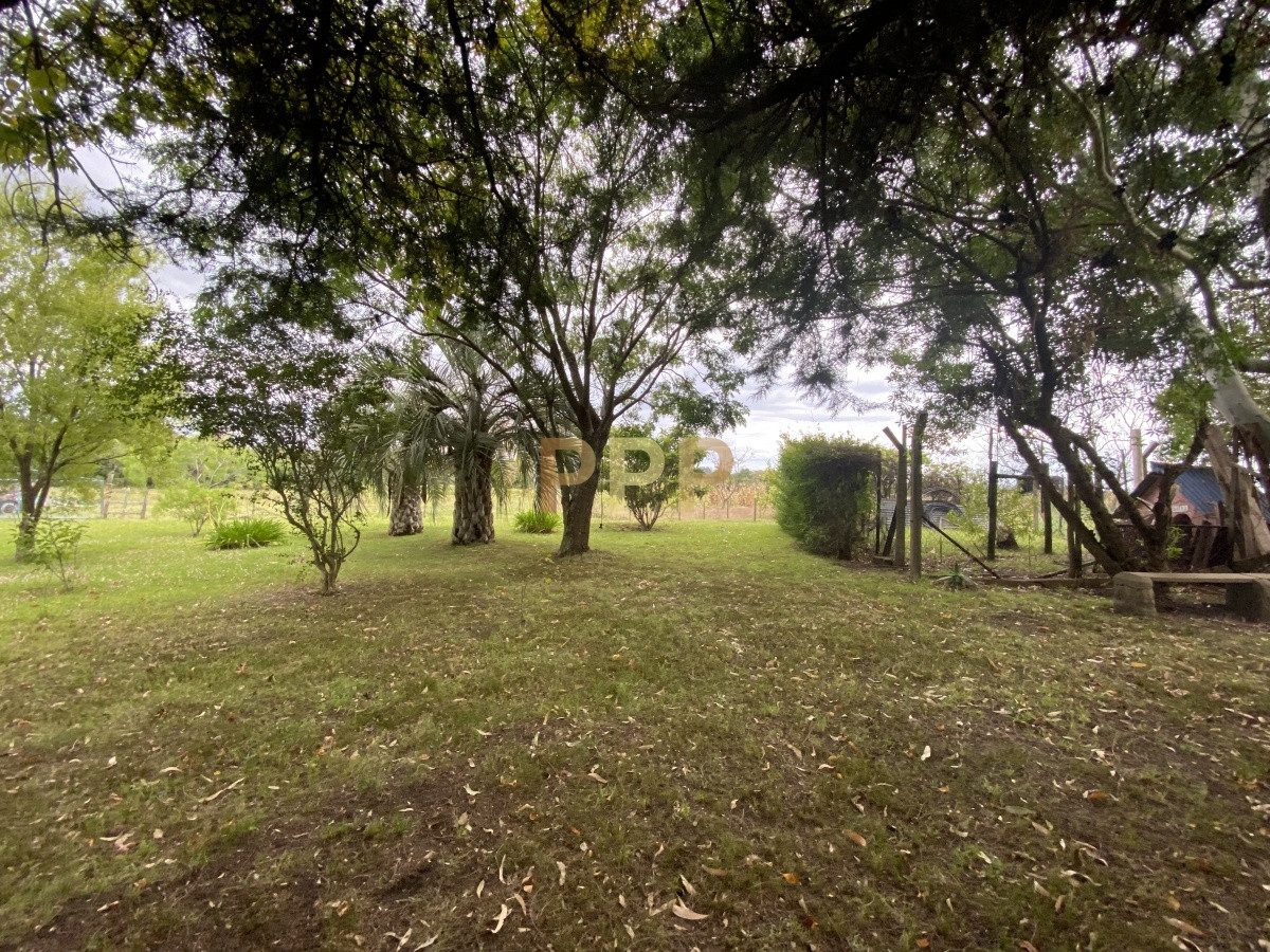 Chacra ID.3605 - En venta...chacra en zona de Ruta 9