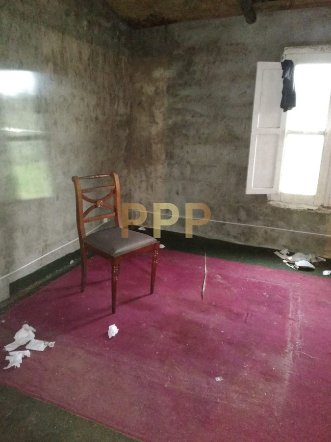 Chacra ID.2248 - Vendo excelente chacra de 39 hectÃ¡reas para granja turÃ­stica o tambo, Aigua, Punta del Este
