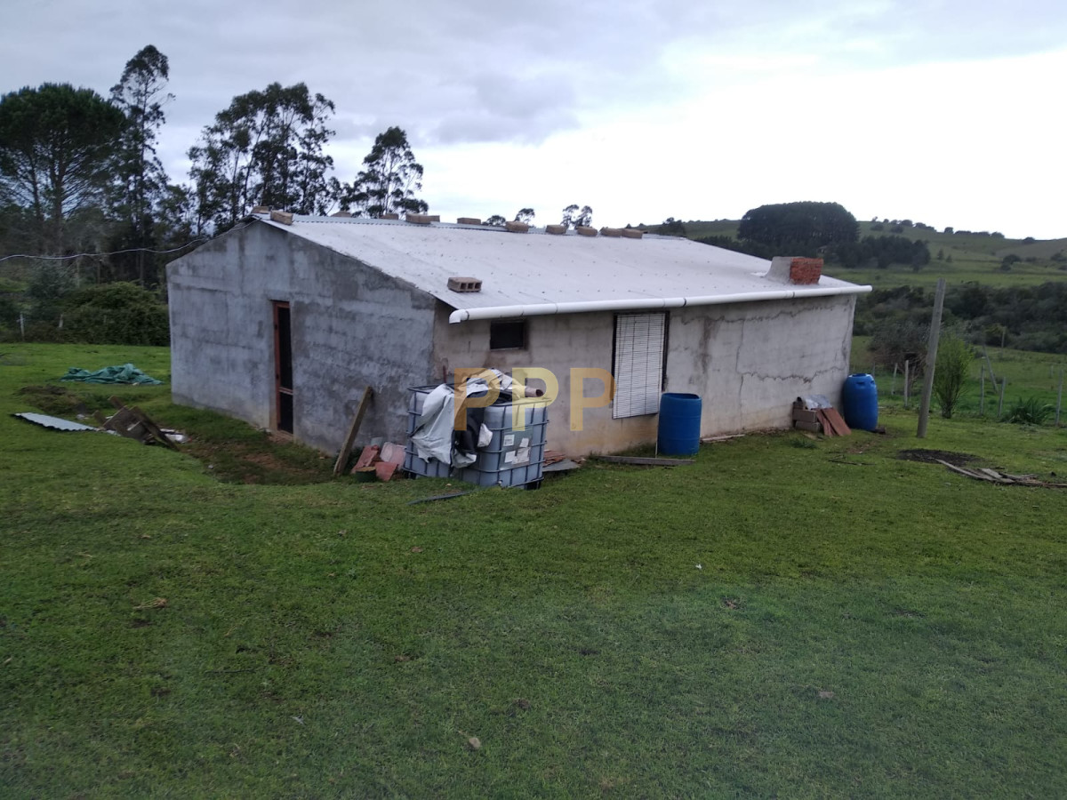 Chacra ID.2248 - Vendo excelente chacra de 39 hectÃ¡reas para granja turÃ­stica o tambo, Aigua, Punta del Este