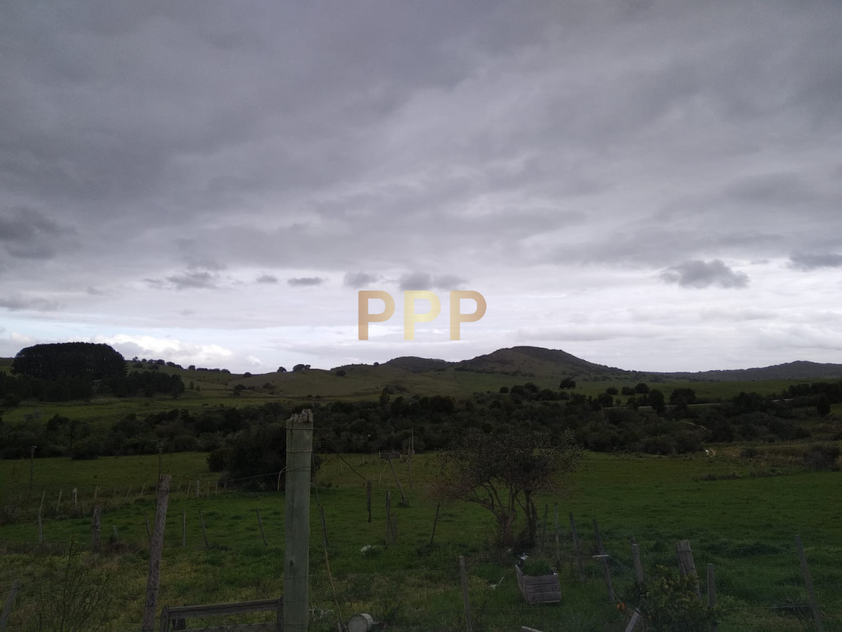 Chacra ID.2274 - Vendo excelente chacra de 39 hectÃ¡reas para granja turÃ­stica o tambo, Aigua, Punta del Este