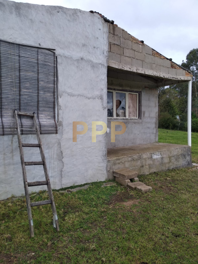 Chacra ID.2248 - Vendo excelente chacra de 39 hectÃ¡reas para granja turÃ­stica o tambo, Aigua, Punta del Este