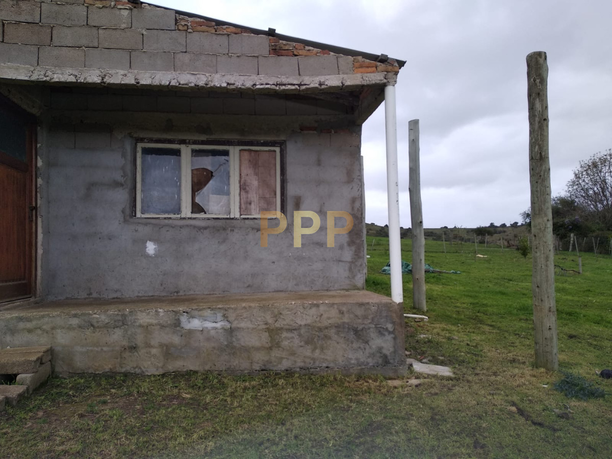 Chacra ID.2274 - Vendo excelente chacra de 39 hectÃ¡reas para granja turÃ­stica o tambo, Aigua, Punta del Este