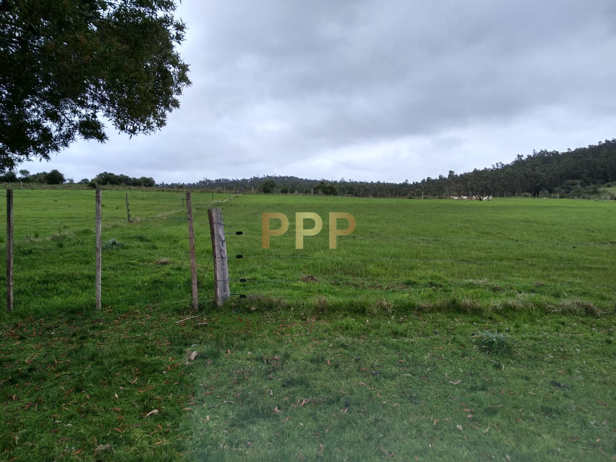 Chacra ID.2274 - Vendo excelente chacra de 39 hectÃ¡reas para granja turÃ­stica o tambo, Aigua, Punta del Este