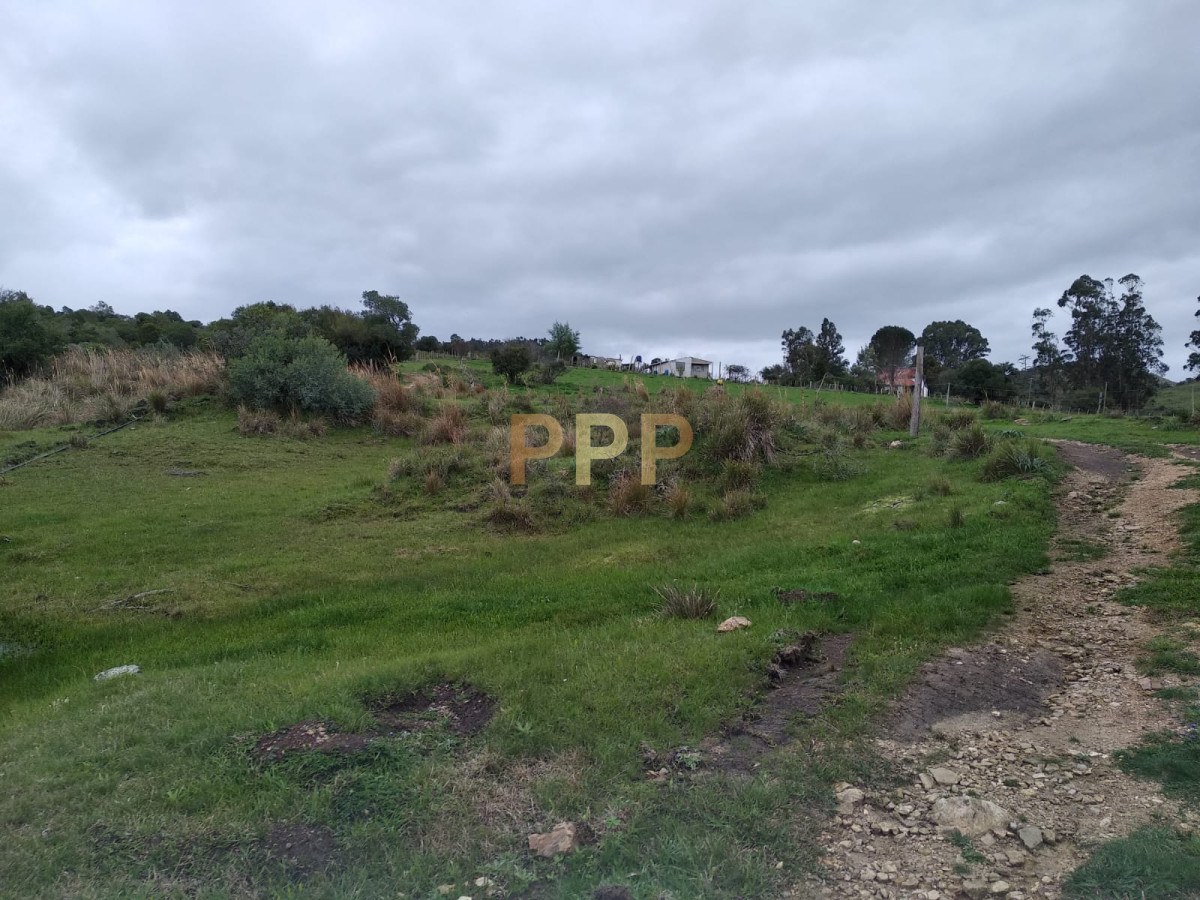 Chacra ID.2274 - Vendo excelente chacra de 39 hectÃ¡reas para granja turÃ­stica o tambo, Aigua, Punta del Este