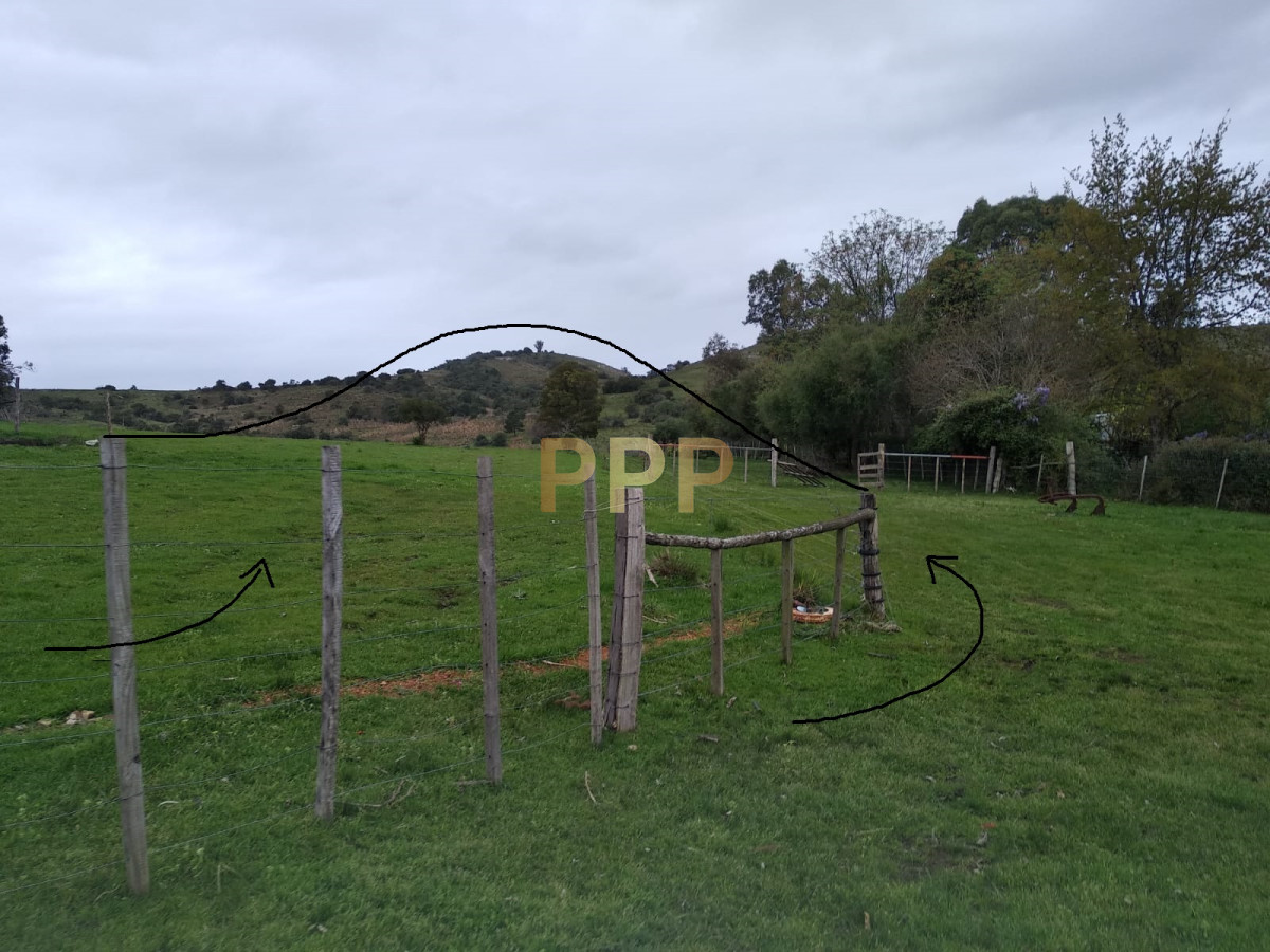 Chacra ID.2248 - Vendo excelente chacra de 39 hectÃ¡reas para granja turÃ­stica o tambo, Aigua, Punta del Este
