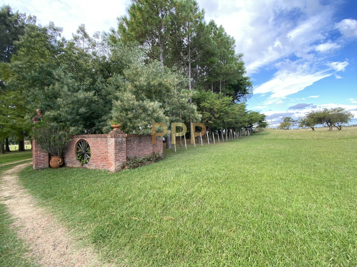 Chacra ID.3605 - En venta...chacra en zona de Ruta 9