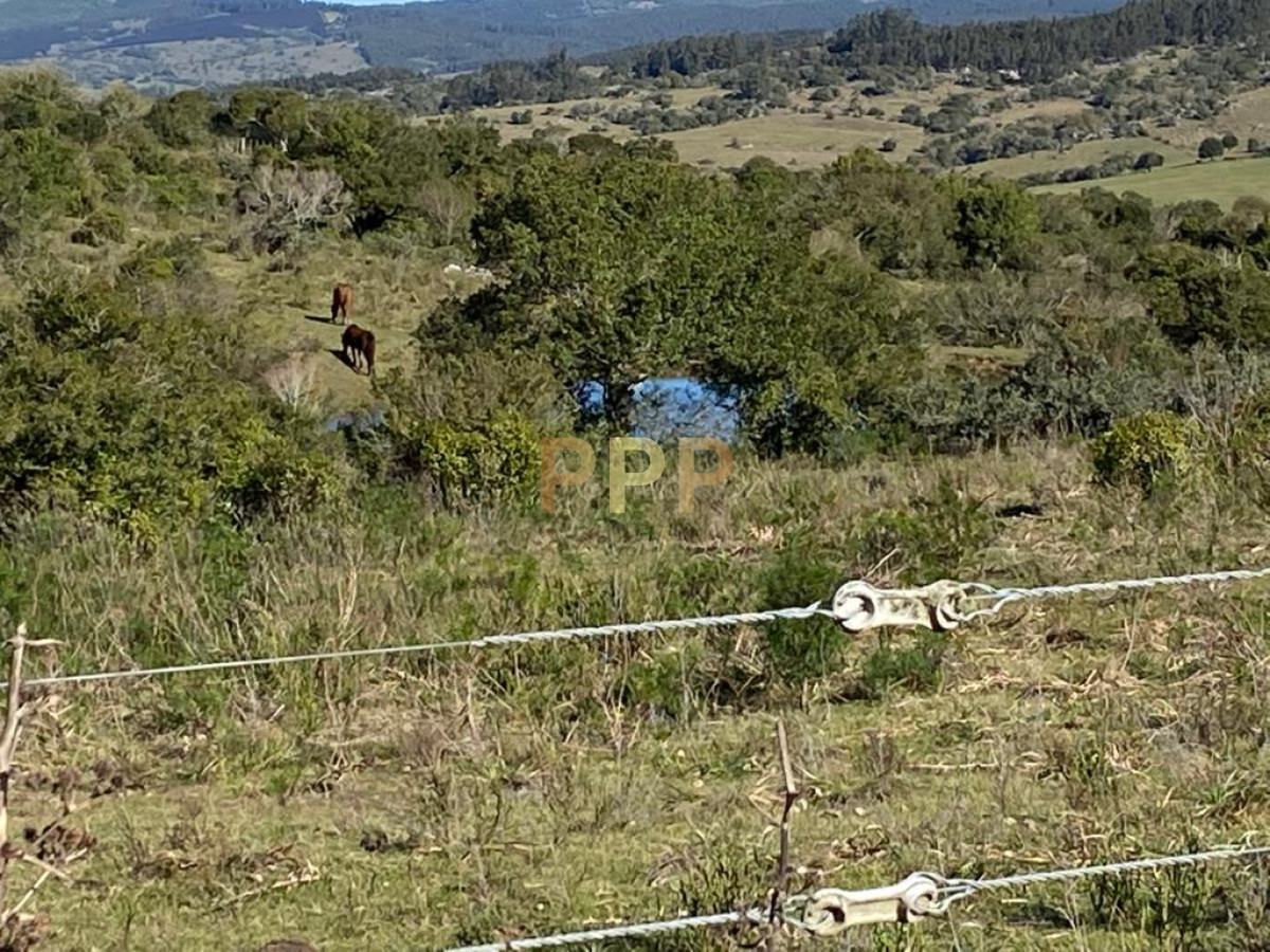 Chacra ID.2869 - En venta, chacra con vistas panorÃ¡micas!!!