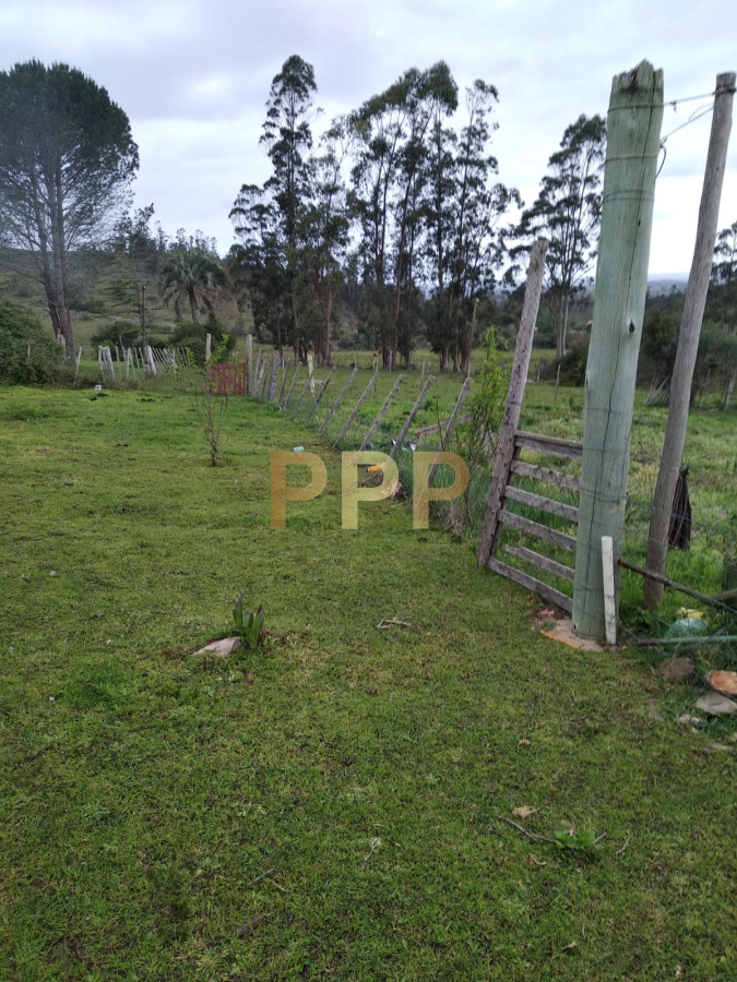 Chacra ID.2274 - Vendo excelente chacra de 39 hectÃ¡reas para granja turÃ­stica o tambo, Aigua, Punta del Este