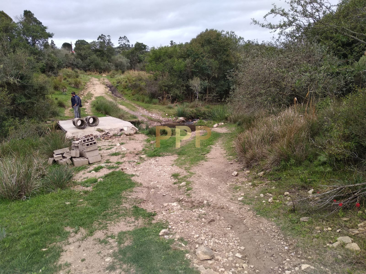 Chacra ID.2248 - Vendo excelente chacra de 39 hectÃ¡reas para granja turÃ­stica o tambo, Aigua, Punta del Este