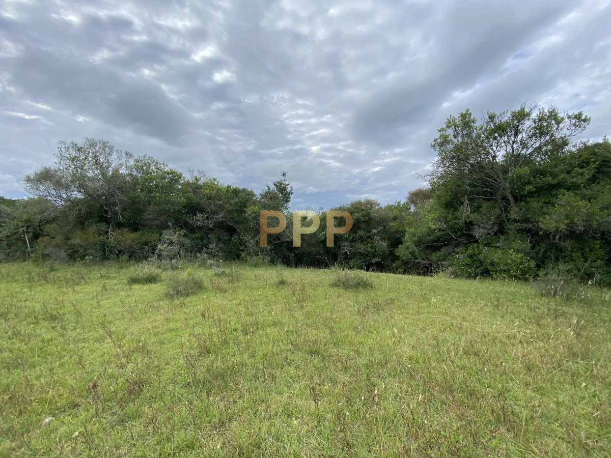 Chacra ID.3605 - En venta...chacra en zona de Ruta 9
