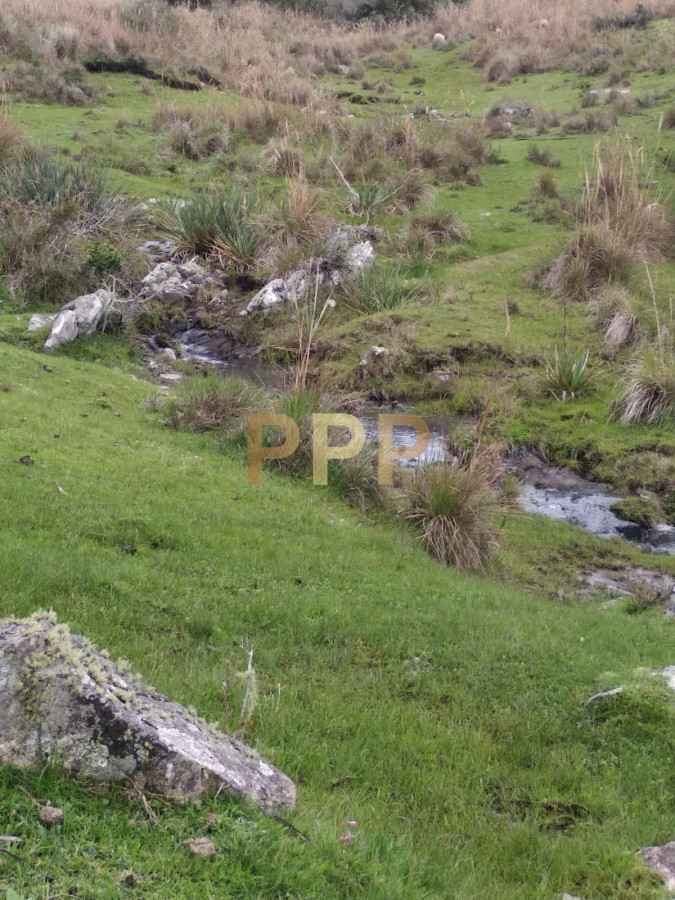 Chacra ID.2274 - Vendo excelente chacra de 39 hectÃ¡reas para granja turÃ­stica o tambo, Aigua, Punta del Este