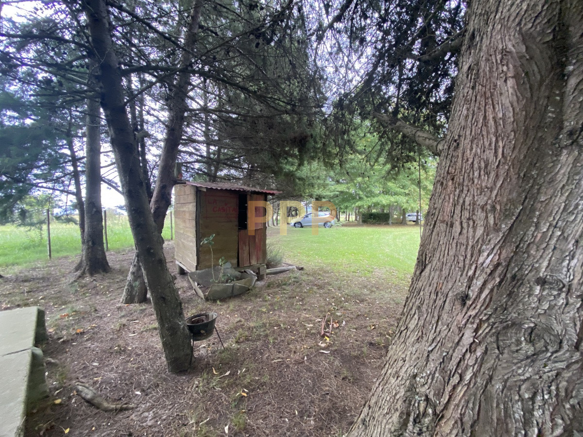 Chacra ID.3605 - En venta...chacra en zona de Ruta 9