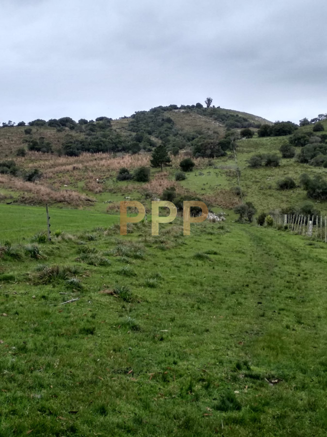 Chacra ID.2274 - Vendo excelente chacra de 39 hectÃ¡reas para granja turÃ­stica o tambo, Aigua, Punta del Este