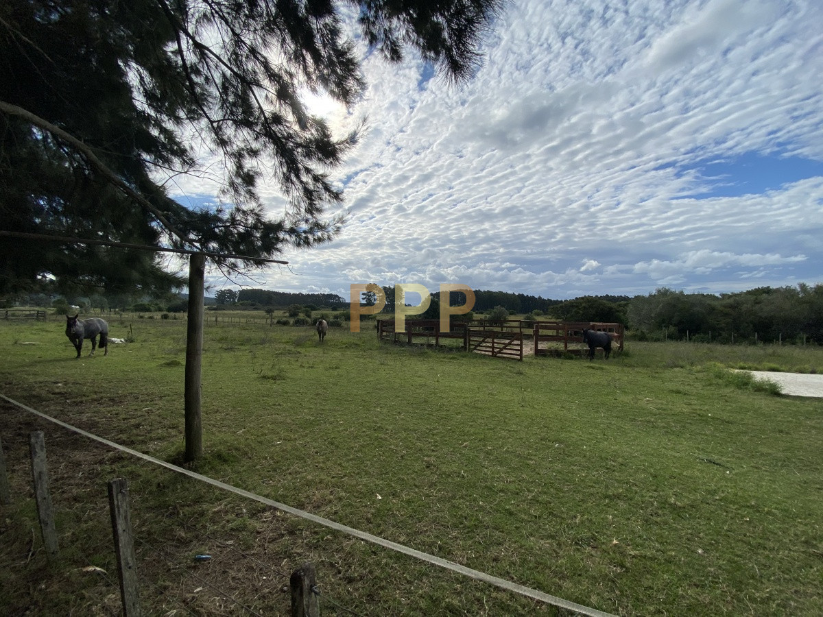 Chacra ID.3605 - En venta...chacra en zona de Ruta 9