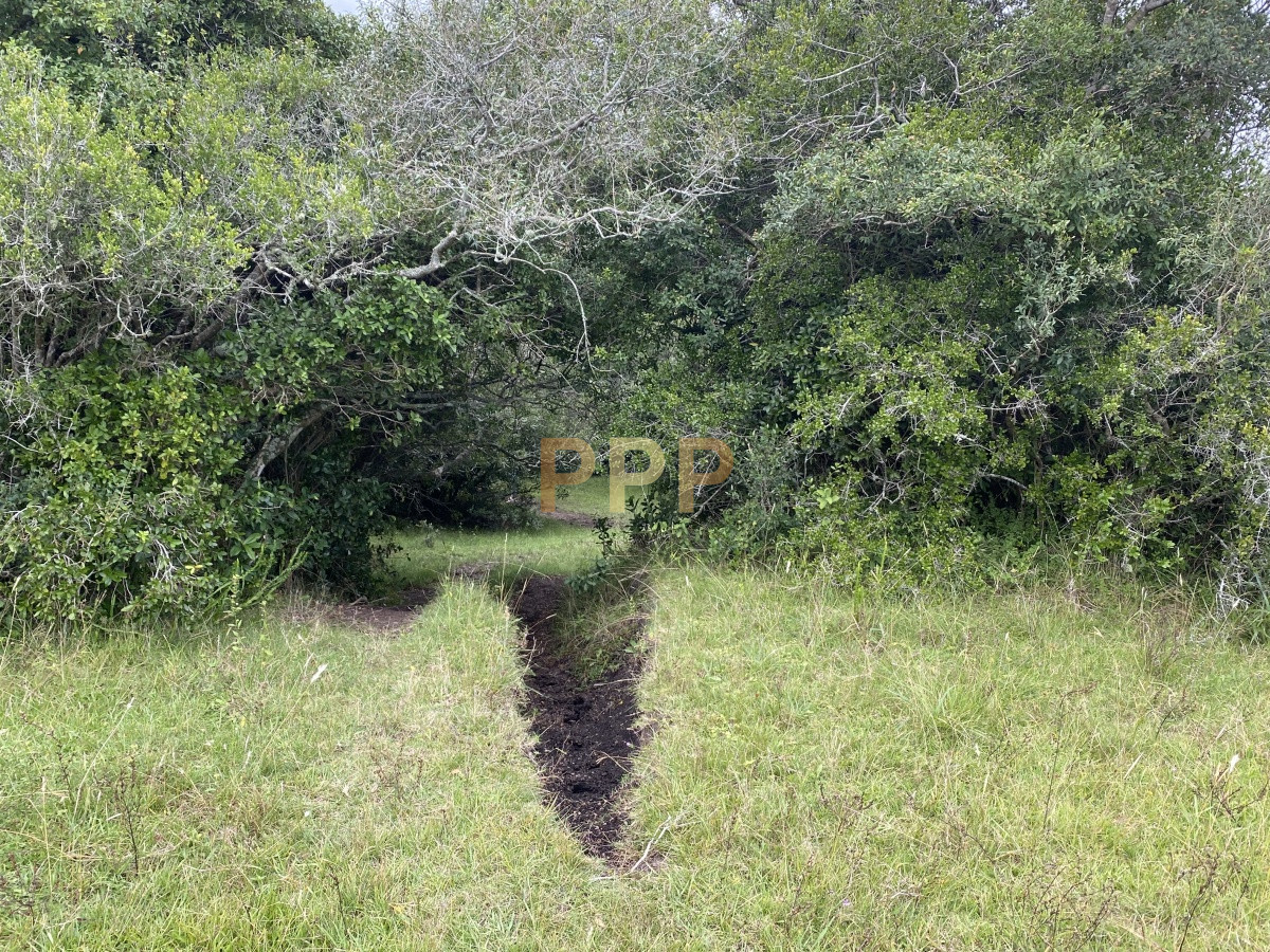 Chacra ID.3605 - En venta...chacra en zona de Ruta 9