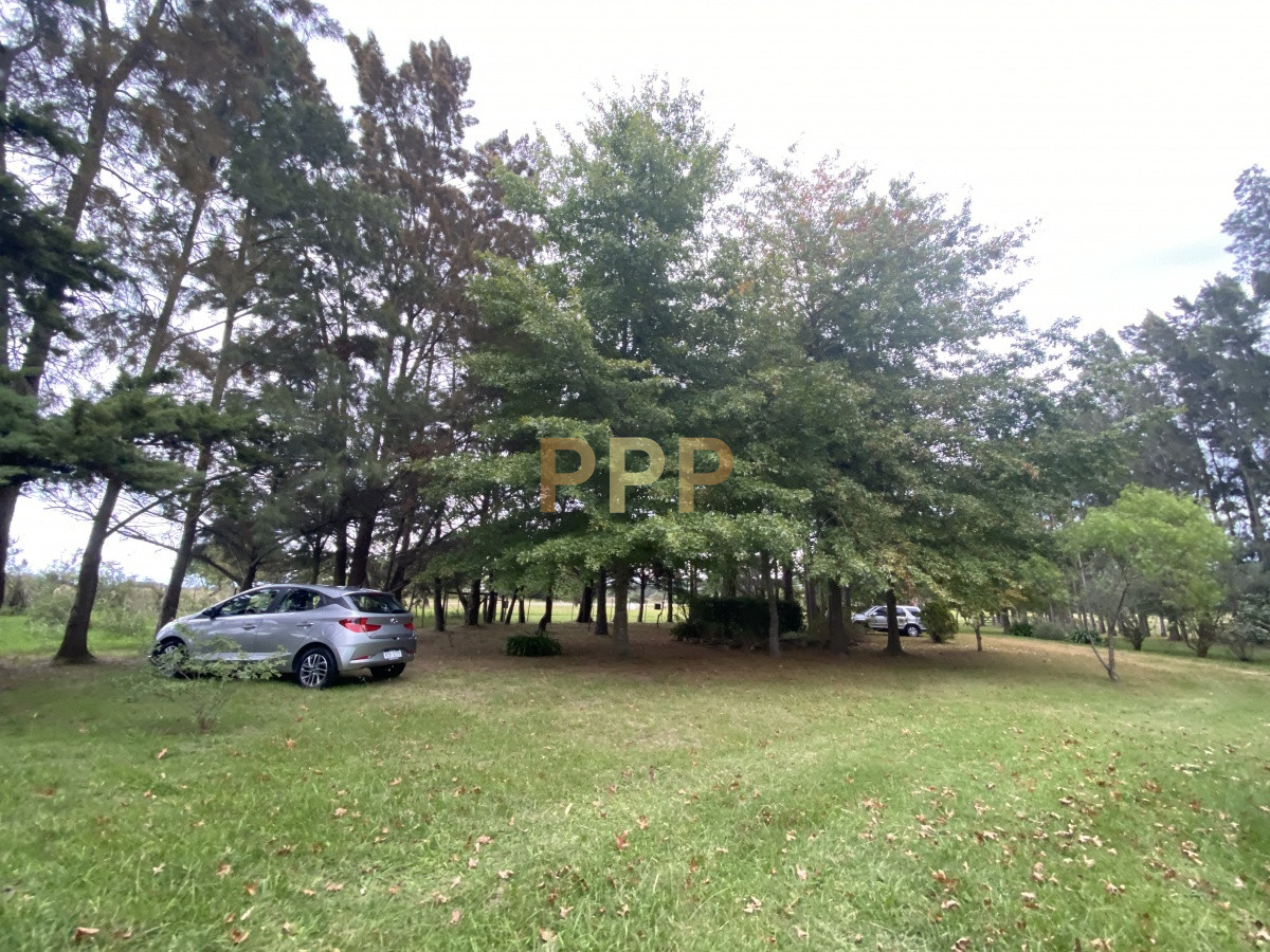 Chacra ID.3605 - En venta...chacra en zona de Ruta 9