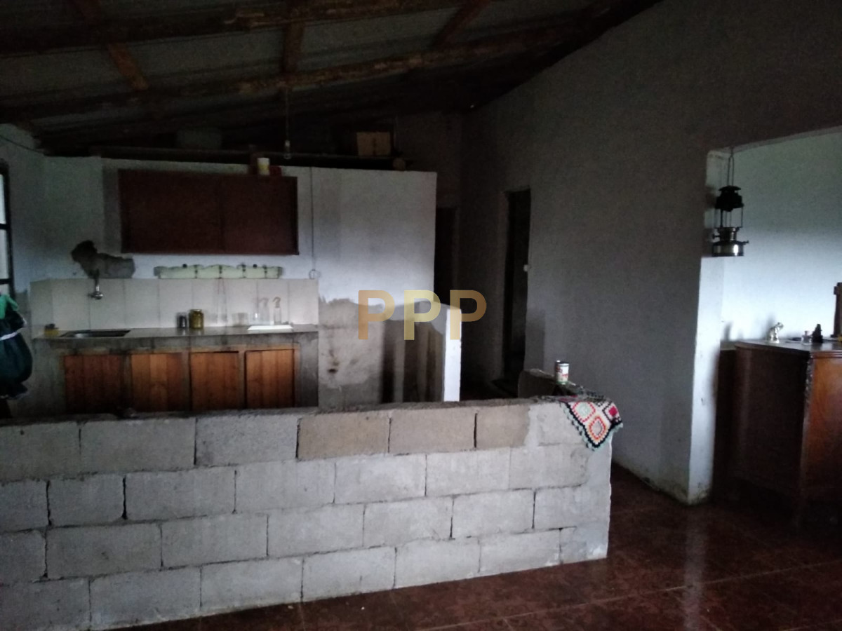 Chacra ID.2248 - Vendo excelente chacra de 39 hectÃ¡reas para granja turÃ­stica o tambo, Aigua, Punta del Este