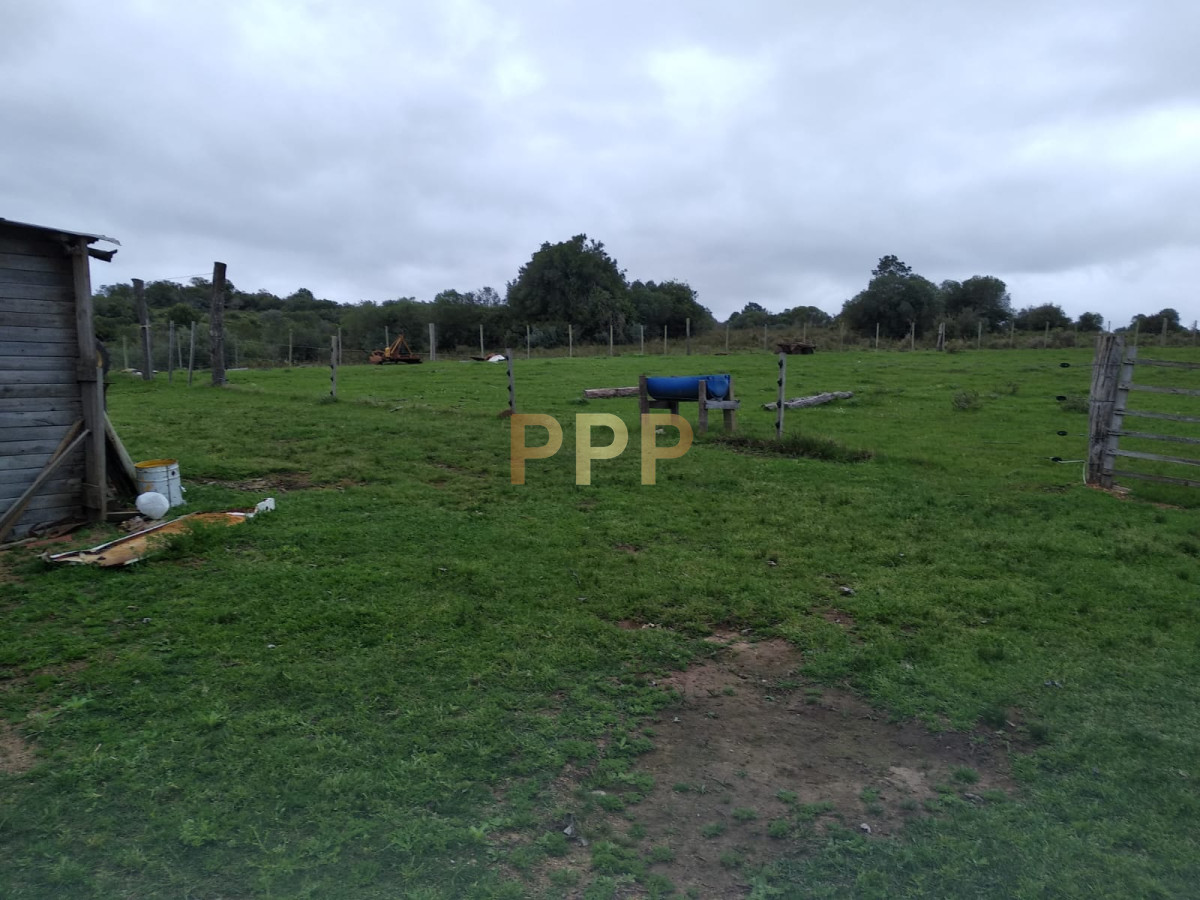 Chacra ID.2274 - Vendo excelente chacra de 39 hectÃ¡reas para granja turÃ­stica o tambo, Aigua, Punta del Este