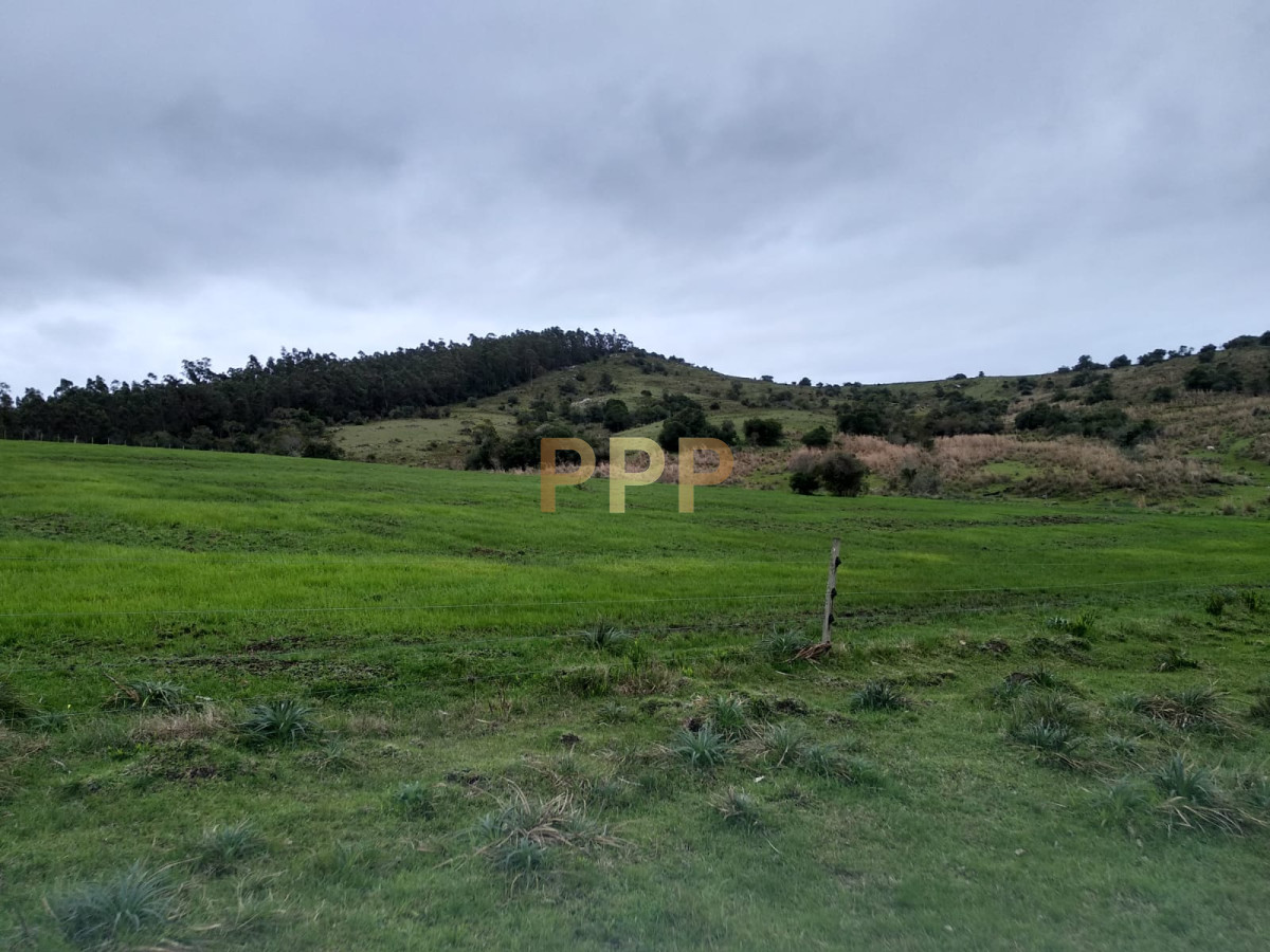 Chacra ID.2274 - Vendo excelente chacra de 39 hectÃ¡reas para granja turÃ­stica o tambo, Aigua, Punta del Este