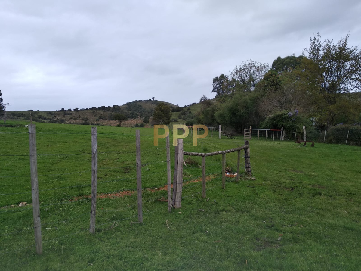Chacra ID.2274 - Vendo excelente chacra de 39 hectÃ¡reas para granja turÃ­stica o tambo, Aigua, Punta del Este