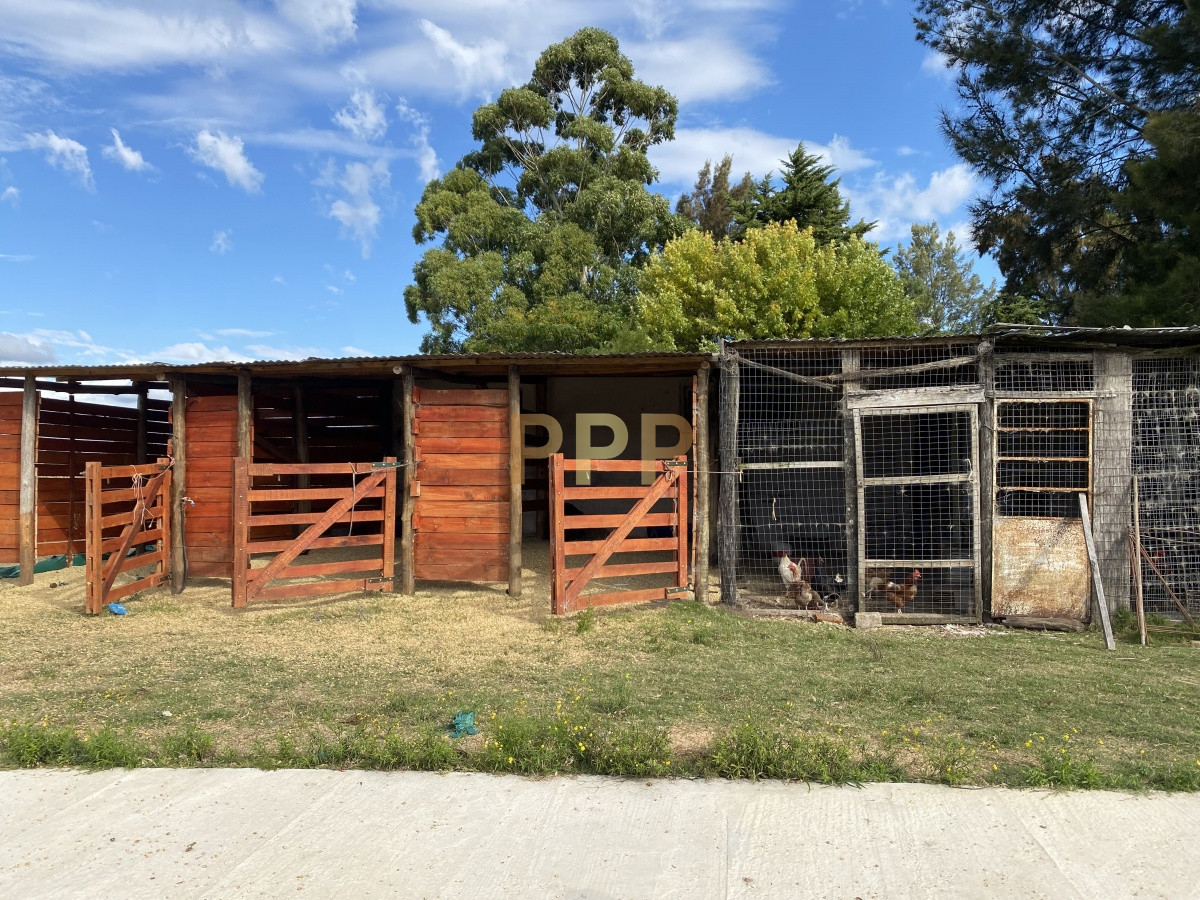 Chacra ID.3605 - En venta...chacra en zona de Ruta 9