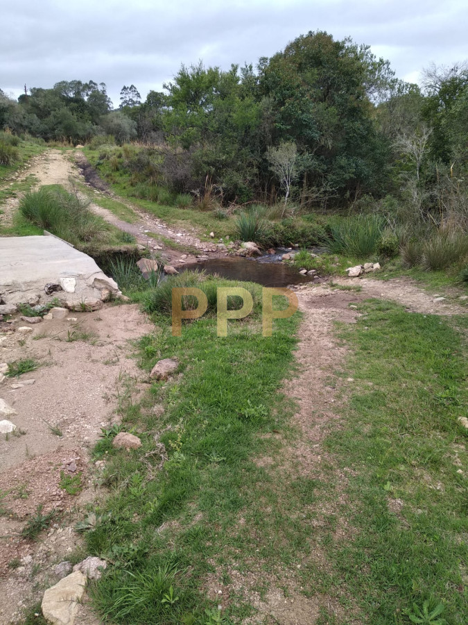 Chacra ID.2248 - Vendo excelente chacra de 39 hectÃ¡reas para granja turÃ­stica o tambo, Aigua, Punta del Este