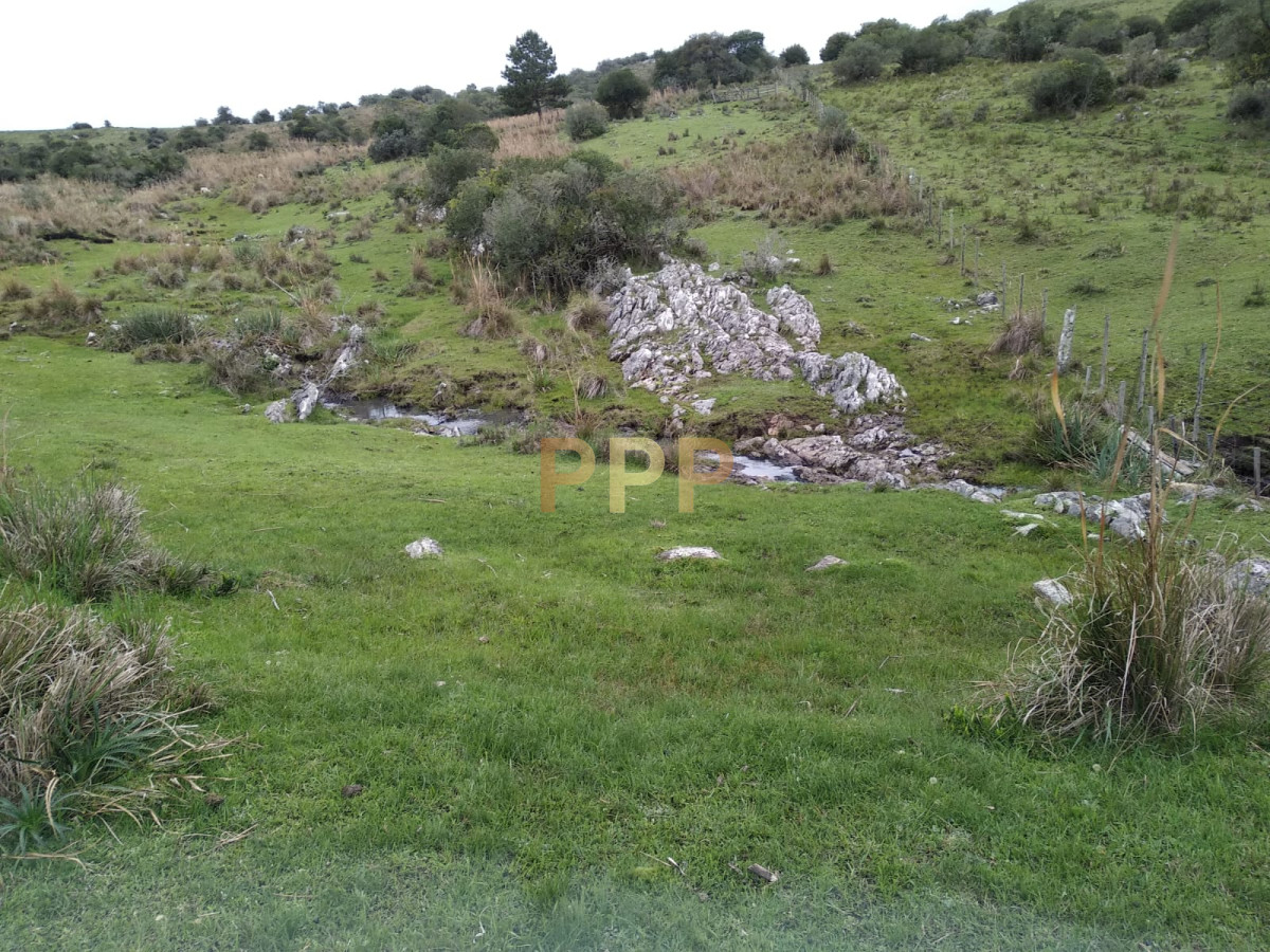 Chacra ID.2248 - Vendo excelente chacra de 39 hectÃ¡reas para granja turÃ­stica o tambo, Aigua, Punta del Este