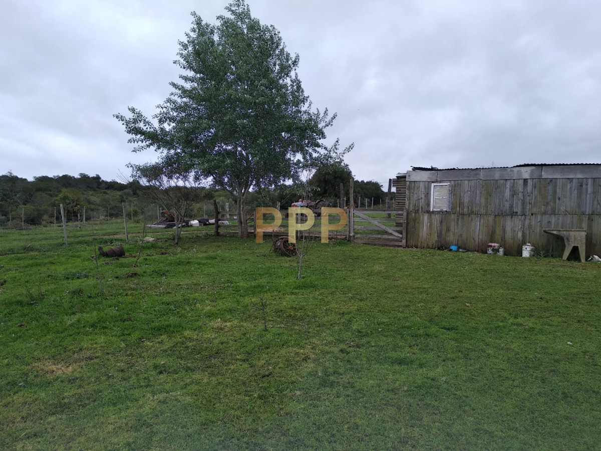 Chacra ID.2274 - Vendo excelente chacra de 39 hectÃ¡reas para granja turÃ­stica o tambo, Aigua, Punta del Este