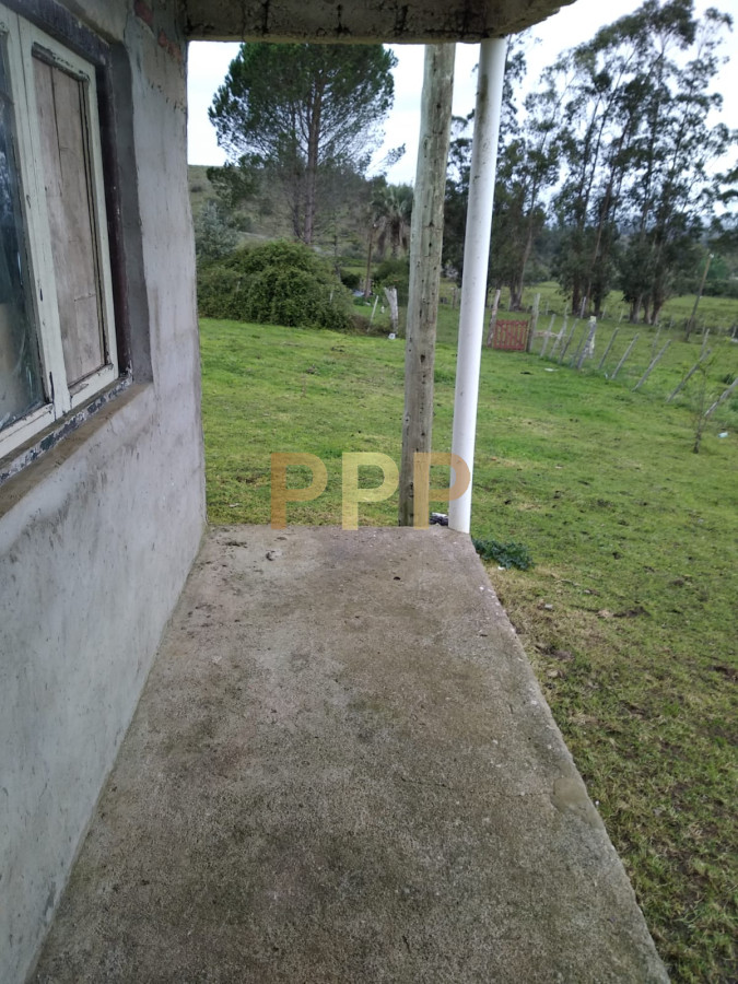 Chacra ID.2248 - Vendo excelente chacra de 39 hectÃ¡reas para granja turÃ­stica o tambo, Aigua, Punta del Este