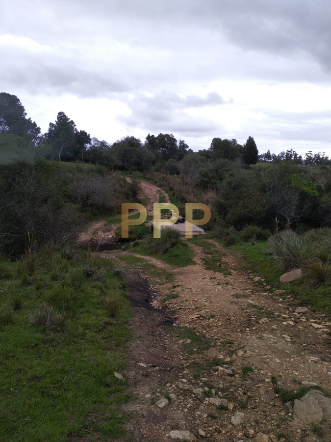 Chacra ID.2274 - Vendo excelente chacra de 39 hectÃ¡reas para granja turÃ­stica o tambo, Aigua, Punta del Este