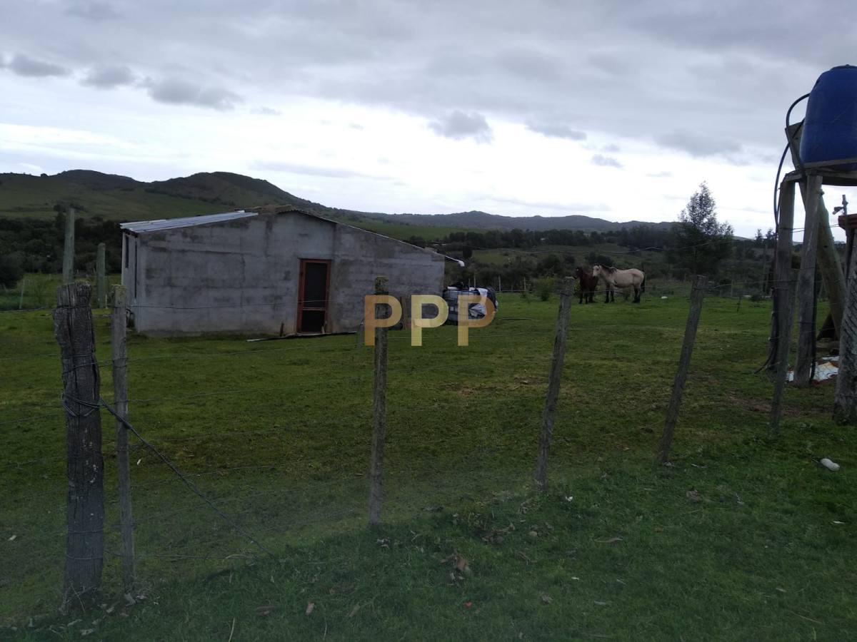 Chacra ID.2274 - Vendo excelente chacra de 39 hectÃ¡reas para granja turÃ­stica o tambo, Aigua, Punta del Este