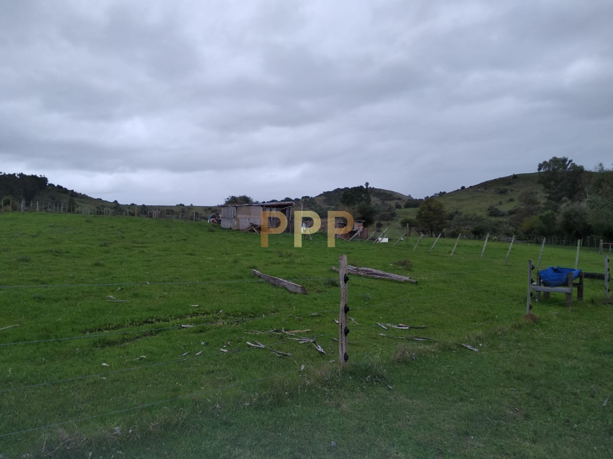 Chacra ID.2274 - Vendo excelente chacra de 39 hectÃ¡reas para granja turÃ­stica o tambo, Aigua, Punta del Este