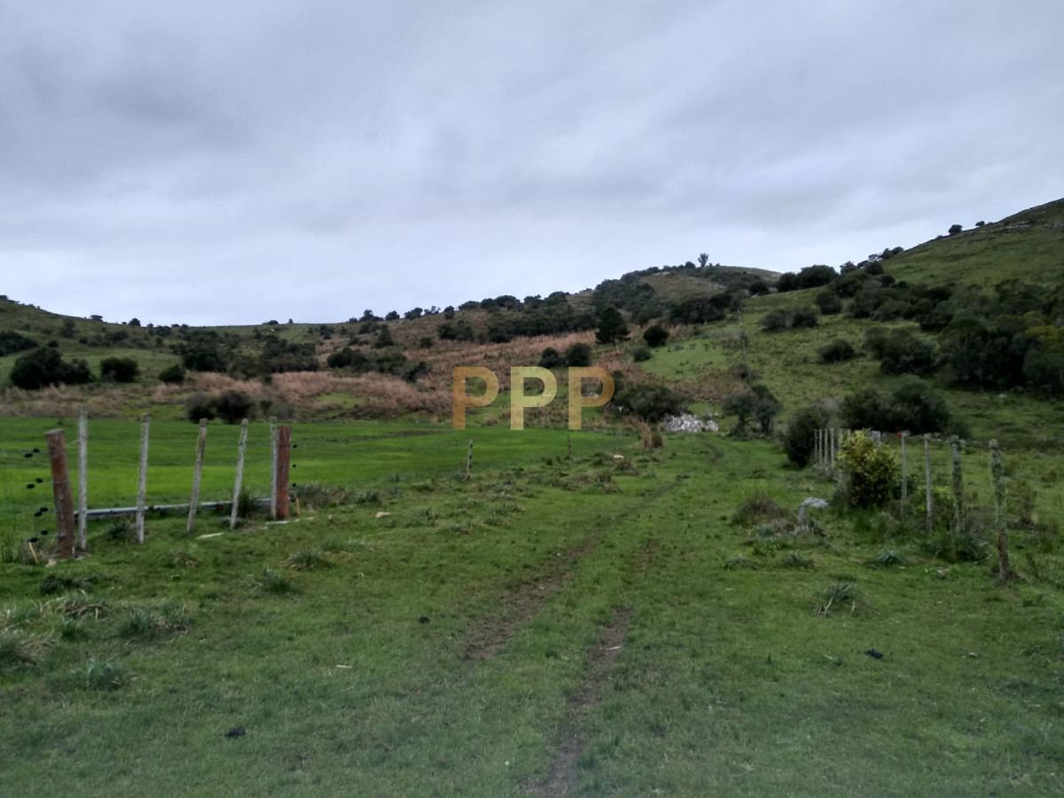 Chacra ID.2274 - Vendo excelente chacra de 39 hectÃ¡reas para granja turÃ­stica o tambo, Aigua, Punta del Este