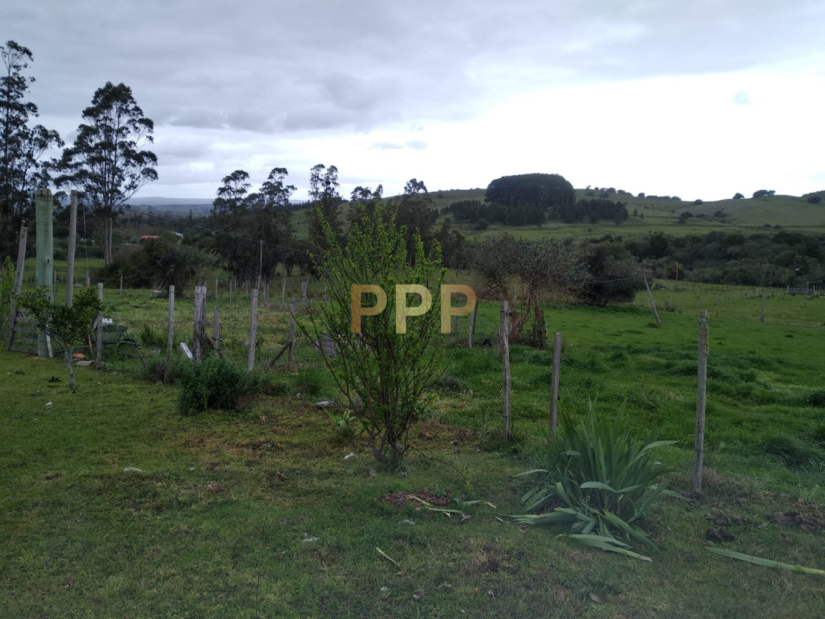 Chacra ID.2248 - Vendo excelente chacra de 39 hectÃ¡reas para granja turÃ­stica o tambo, Aigua, Punta del Este