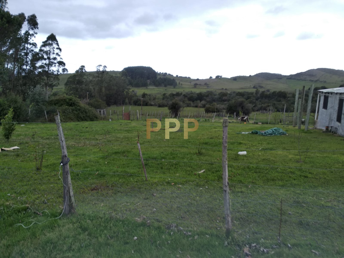 Chacra ID.2274 - Vendo excelente chacra de 39 hectÃ¡reas para granja turÃ­stica o tambo, Aigua, Punta del Este