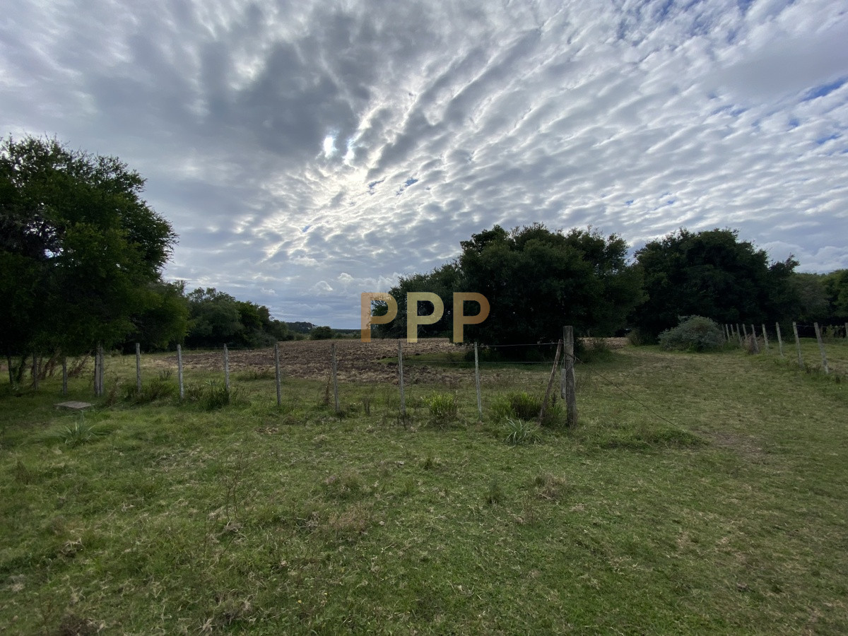 Chacra ID.3605 - En venta...chacra en zona de Ruta 9