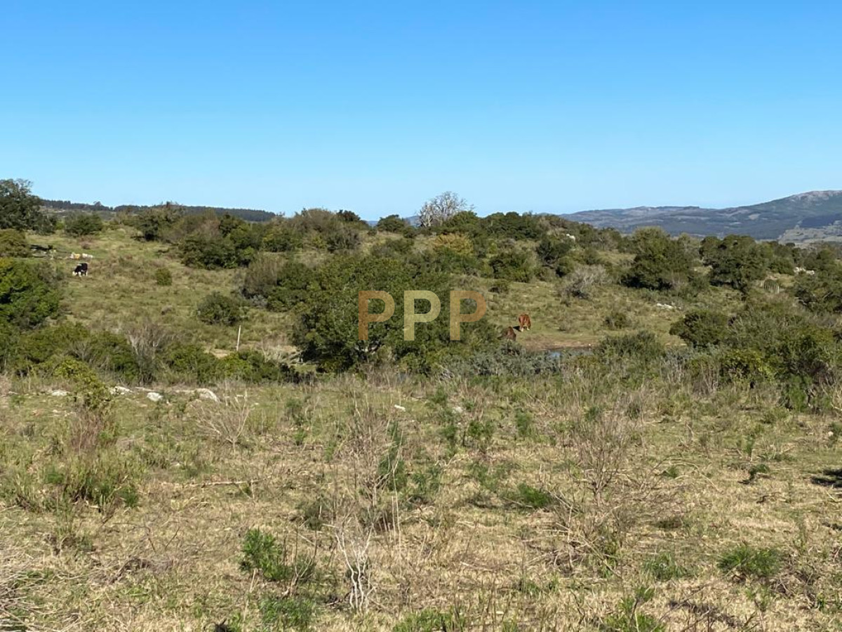 Chacra ID.2869 - En venta, chacra con vistas panorÃ¡micas!!!
