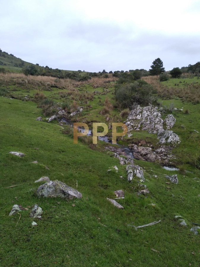 Chacra ID.2248 - Vendo excelente chacra de 39 hectÃ¡reas para granja turÃ­stica o tambo, Aigua, Punta del Este