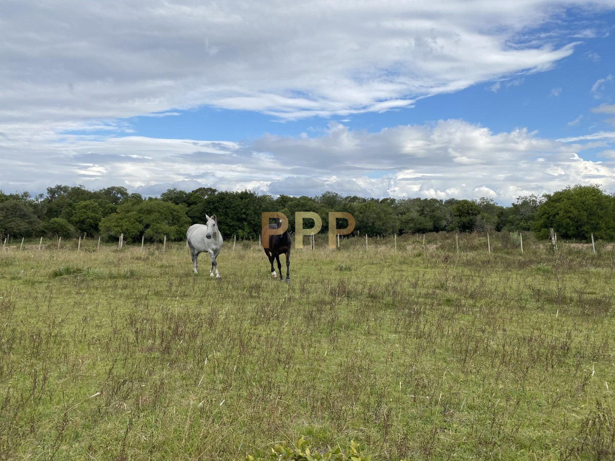 Chacra ID.3605 - En venta...chacra en zona de Ruta 9