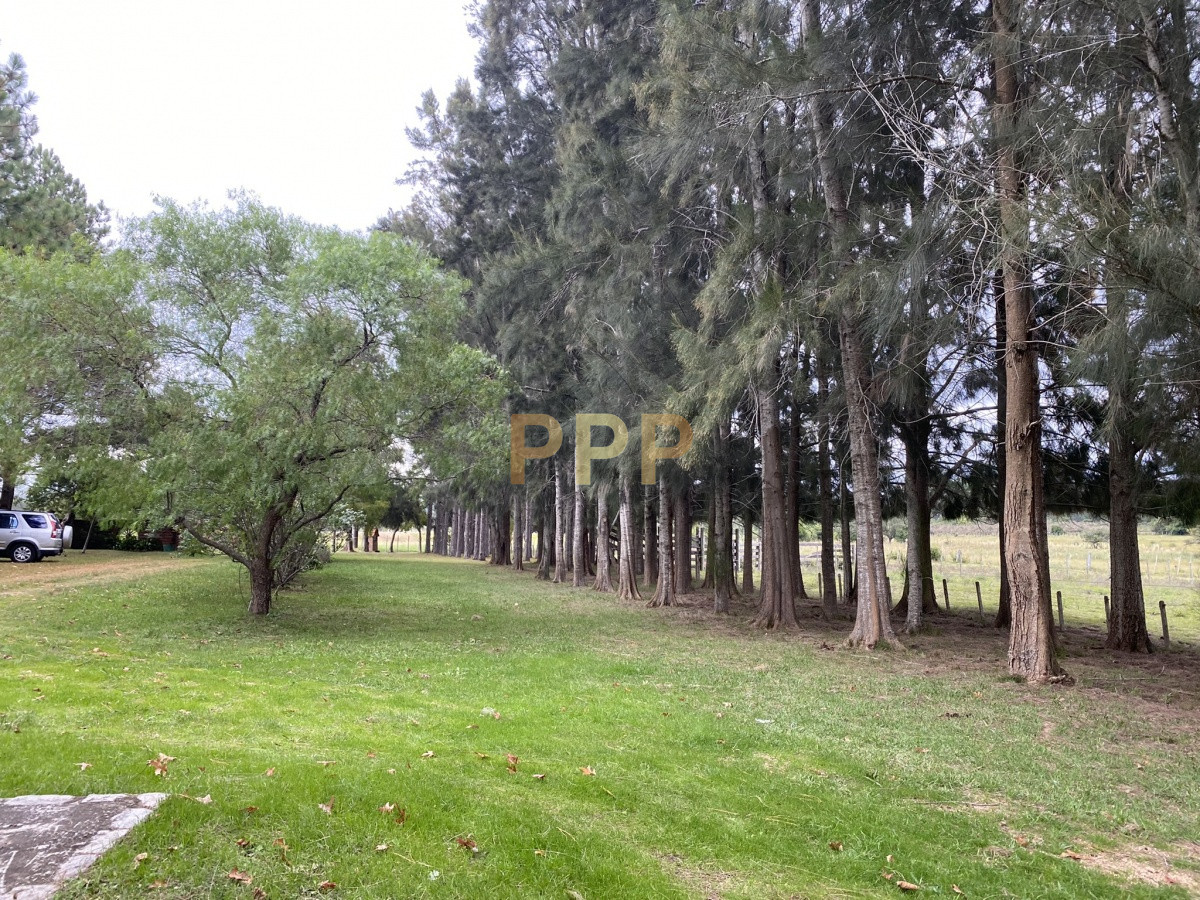 Chacra ID.3605 - En venta...chacra en zona de Ruta 9