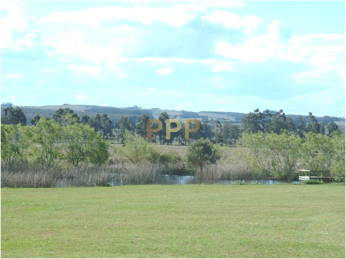 Chacra ID.2050 - 