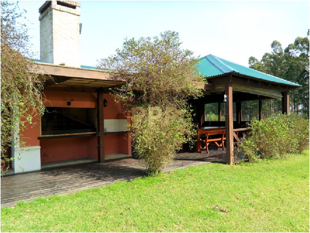 Chacra ID.2051 - 