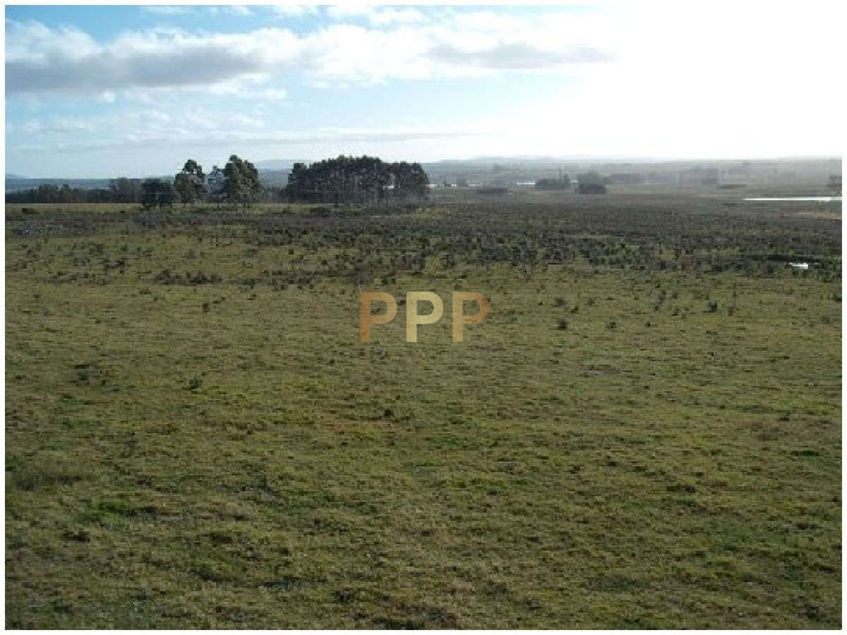 Chacra ID.2044 - Vendo chacra 5 hectareas, a metros de ruta 12, entre Solanas y Ruta 9.