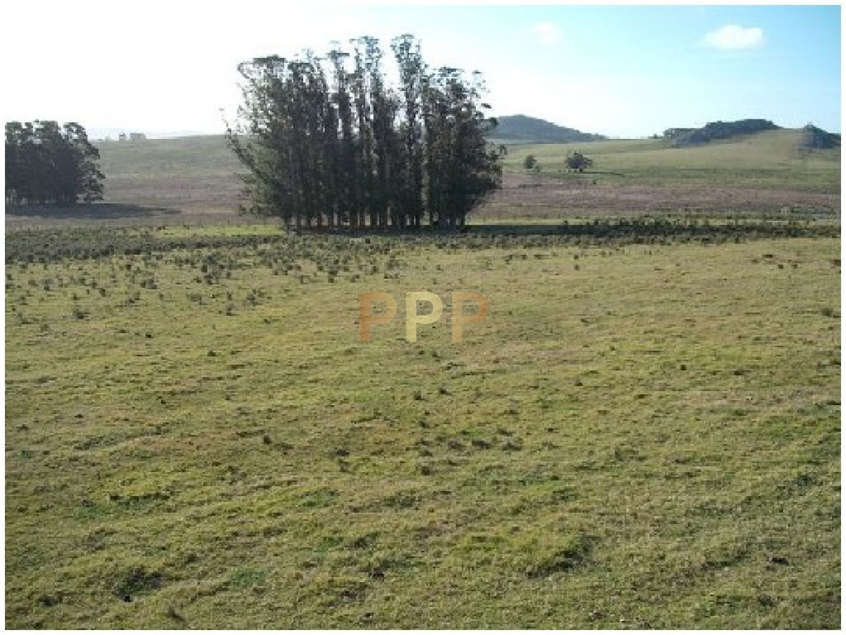 Chacra ID.2044 - Vendo chacra 5 hectareas, a metros de ruta 12, entre Solanas y Ruta 9.
