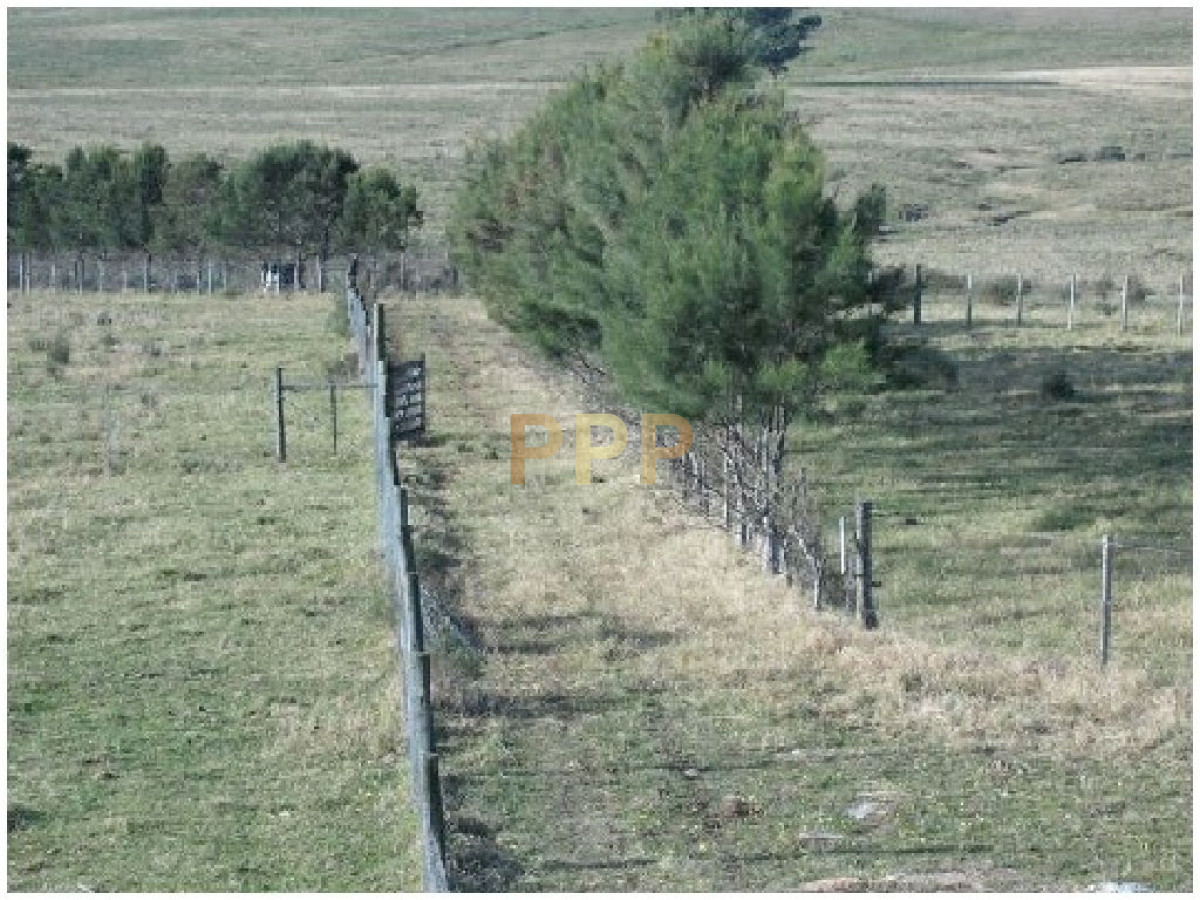 Chacra ID.2044 - Vendo chacra 5 hectareas, a metros de ruta 12, entre Solanas y Ruta 9.