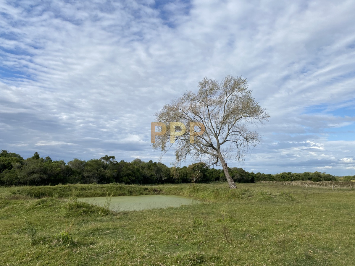 Chacra ID.3605 - En venta...chacra en zona de Ruta 9