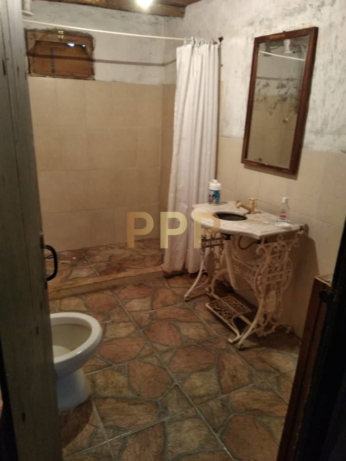 Chacra ID.2248 - Vendo excelente chacra de 39 hectÃ¡reas para granja turÃ­stica o tambo, Aigua, Punta del Este