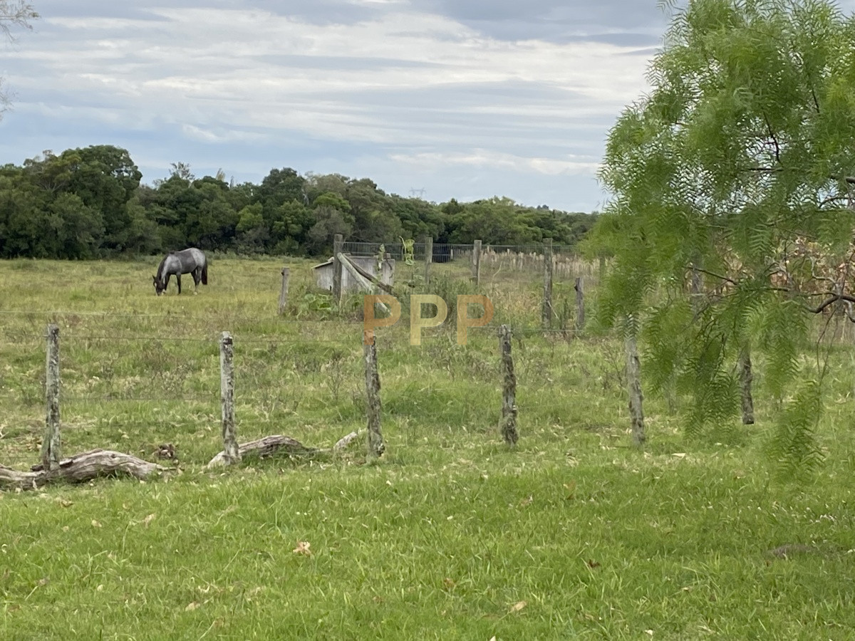Chacra ID.3605 - En venta...chacra en zona de Ruta 9